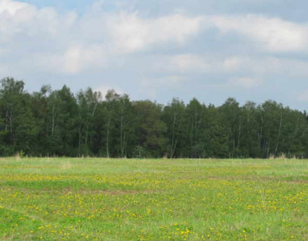 Участки Лесная лужайка в Подольском районе