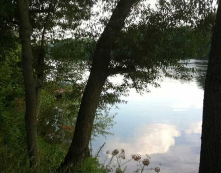 Озеро в Шмелеве