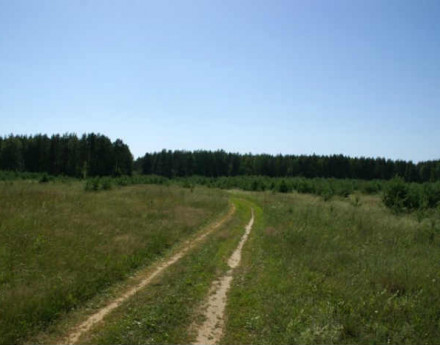 Территория Иванов лес