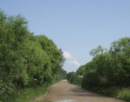 Дорога в поселке Красновидово