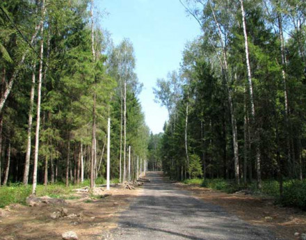 Венский лес на Киевском шоссе