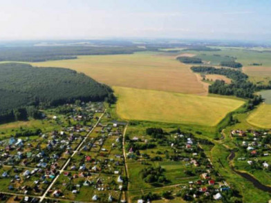 Дачный  поселок  Буньковские сосны