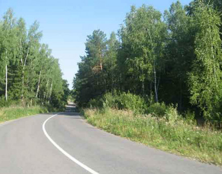 Дорога в поселок Венский лес