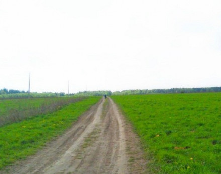 Дорога в поселок Лапинские дачи