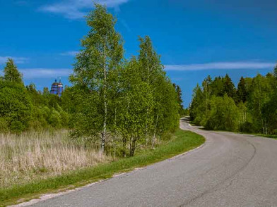 Окрестности в поселке Ильинка