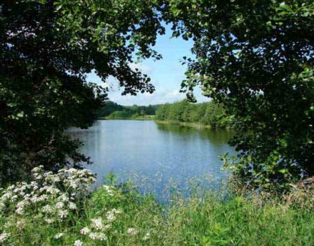 Участки Ваулино на Можайском шоссе