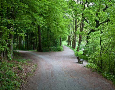 Купить дом в коттеджном поселке Венский лес