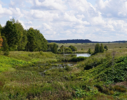 Виды Vanberry village