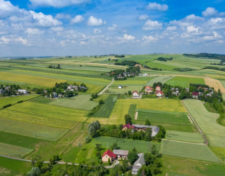 Виды Скандия Шаховская