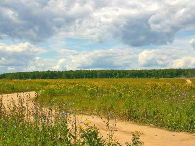 Участки в поселке Любимово