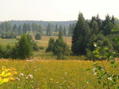 Эко-поселок Журавли