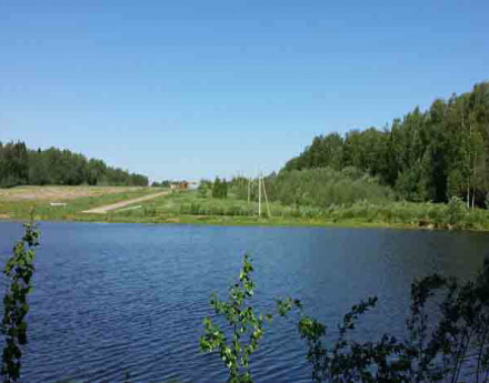 Территория Ваньково