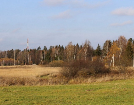 Коттеджный поселок Рижская дубрава