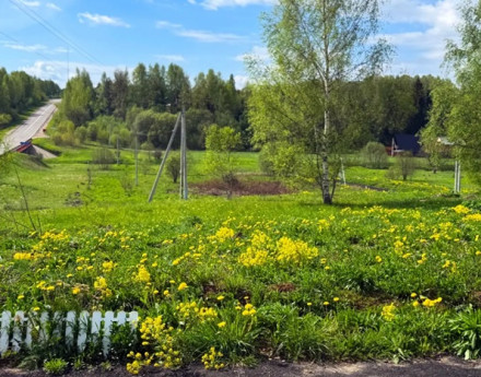 Виды Форест Клаб