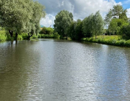 Виды Новое Огуднево-2