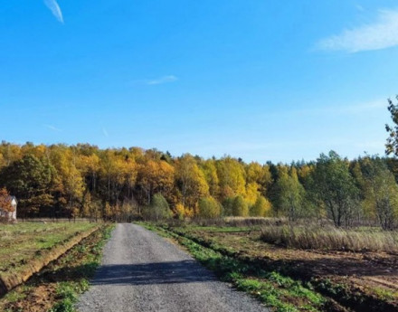 Виды Петровский Квартал
