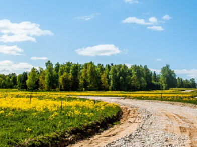 Коттеджный поселок Shelkovo Park