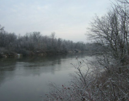 Купить участок Домашнево