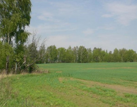 Природа в коттеджном поселке "Дмитроград"