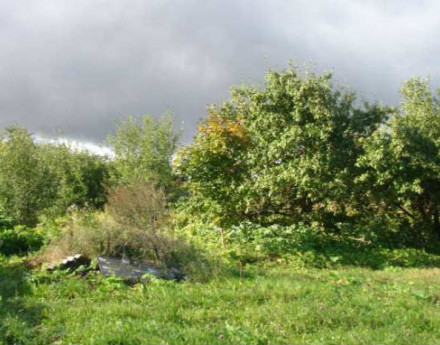 Купить участок Соголево