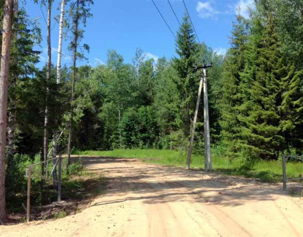 Природа в поселке Семиречье