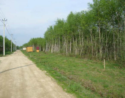 Дорога в поселок Сосновый край