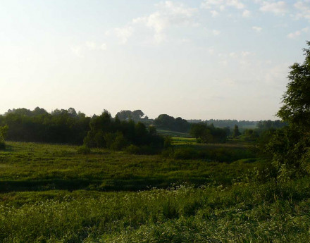 Окресности Защепино