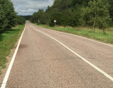 Дорога в поселок Лесной