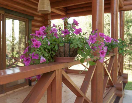 Дома в КП Земляничная поляна