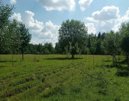 Коттеджный поселок Молзино