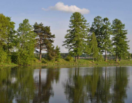 Коттеджный поселок Лесная подкова