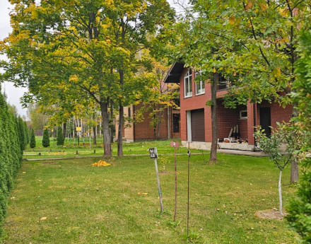 Изображение WhatsApp 2025-09-27 в 21.21.47_543159df.jpg