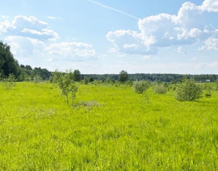 Виды Зорино