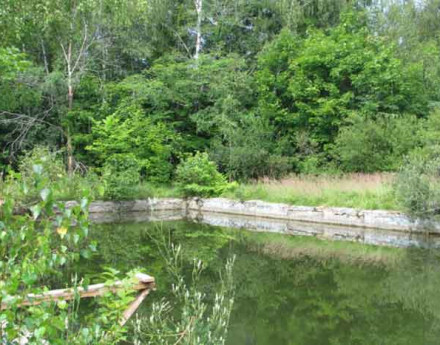 Коттеджный поселок Чайка  