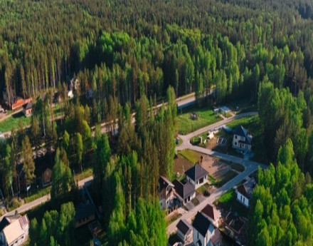 Вокруг Сокола