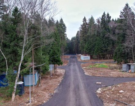 Виды Первый лесной