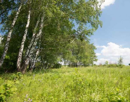 Купить участок Костинский лес