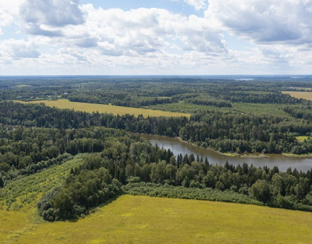 Коттеджный поселок Петряиха