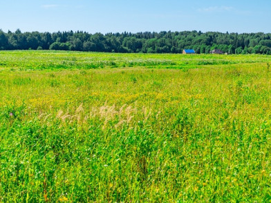 Коттеджный поселок Поваровская слобода
