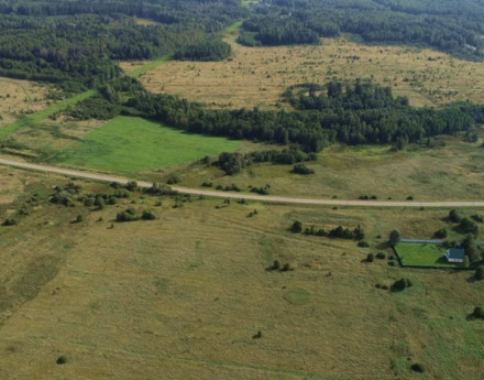 Виды Скандия Шаховская