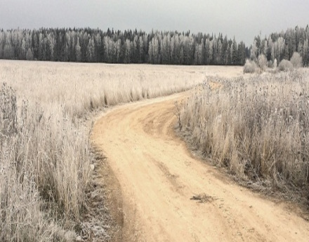 Дорога к дачному поселку Околица
