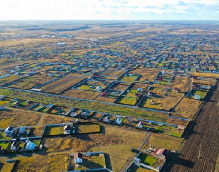 Виды Зеленый луг