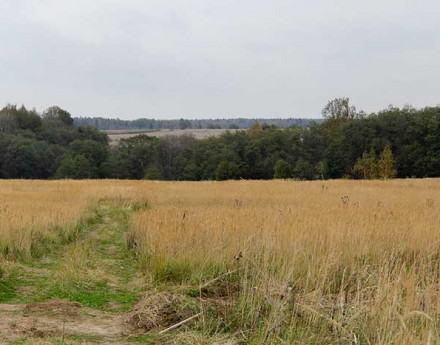 Территория Степаньково