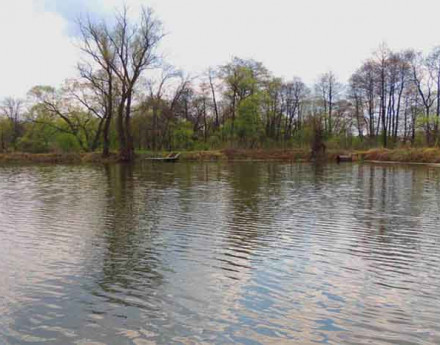 Виды поселка Бор удач