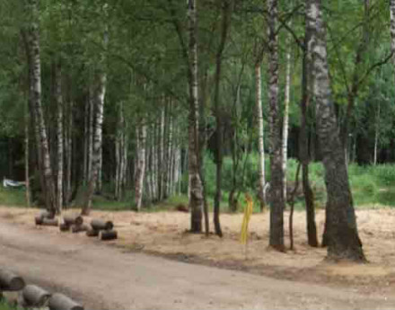 Дорога в поселок Ваньково