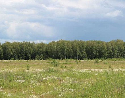 Виды Воскресенки