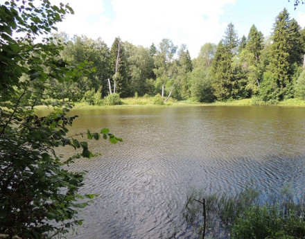 Виды поселка Вудвиль