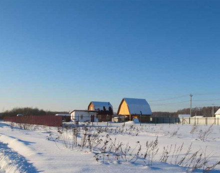 Зима в ДНП Лесное