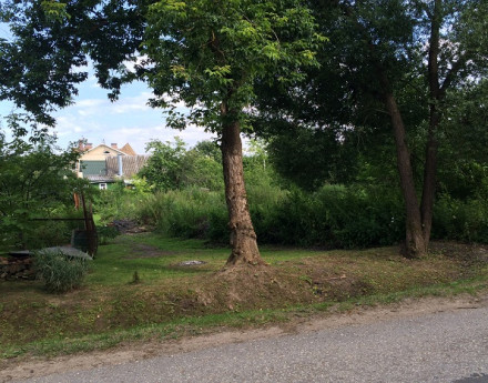 Поселок Пионерский