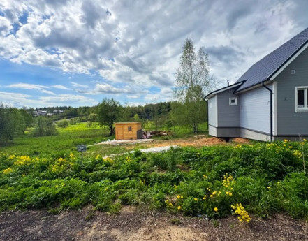 Виды Форест Клаб